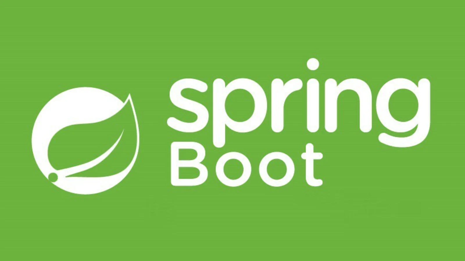 2024 IntelliJ IDEA 2023 Java 8 Springboot 2.x